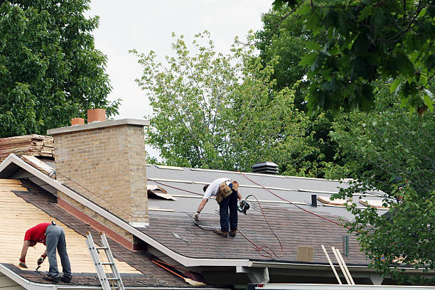 Best Roof Gutter Cleaning  in Watervliet, MI