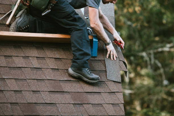 Best Roof Maintenance Services  in Watervliet, MI