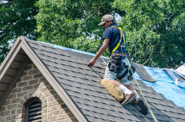 Best Residential Roofing Contractor  in Watervliet, MI